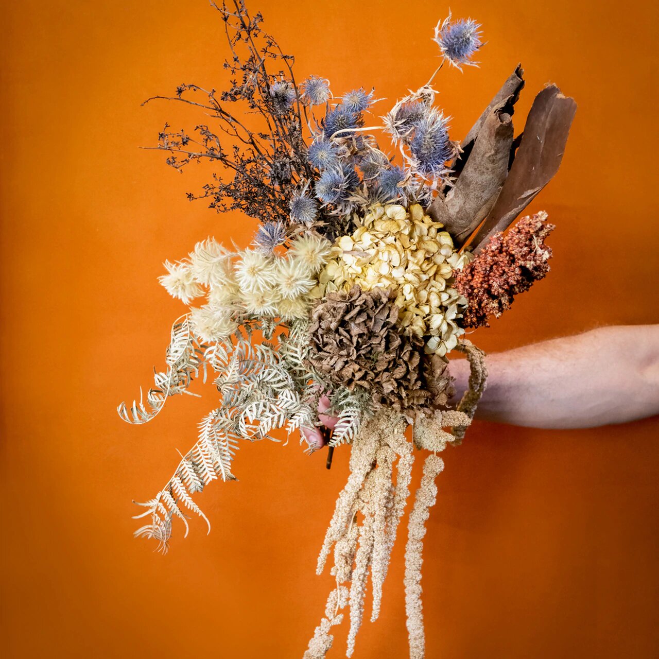 The rustic Sydney dried flowers