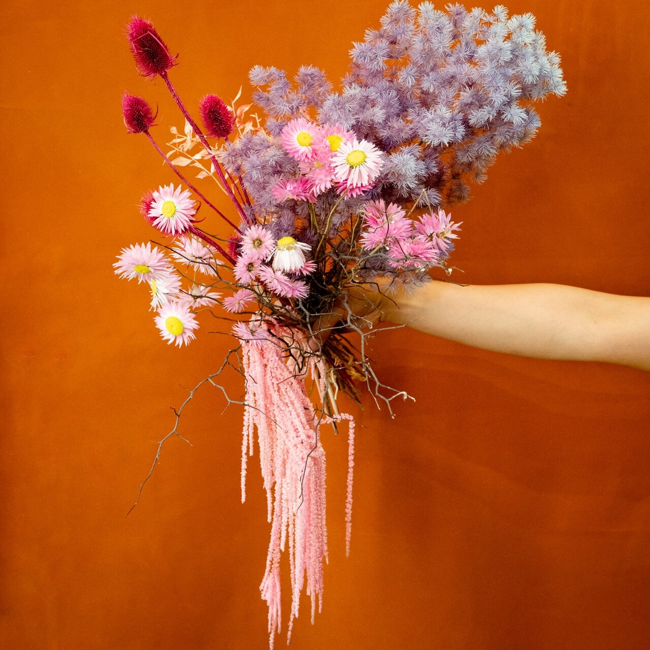 Pinky Sydney dried flowers